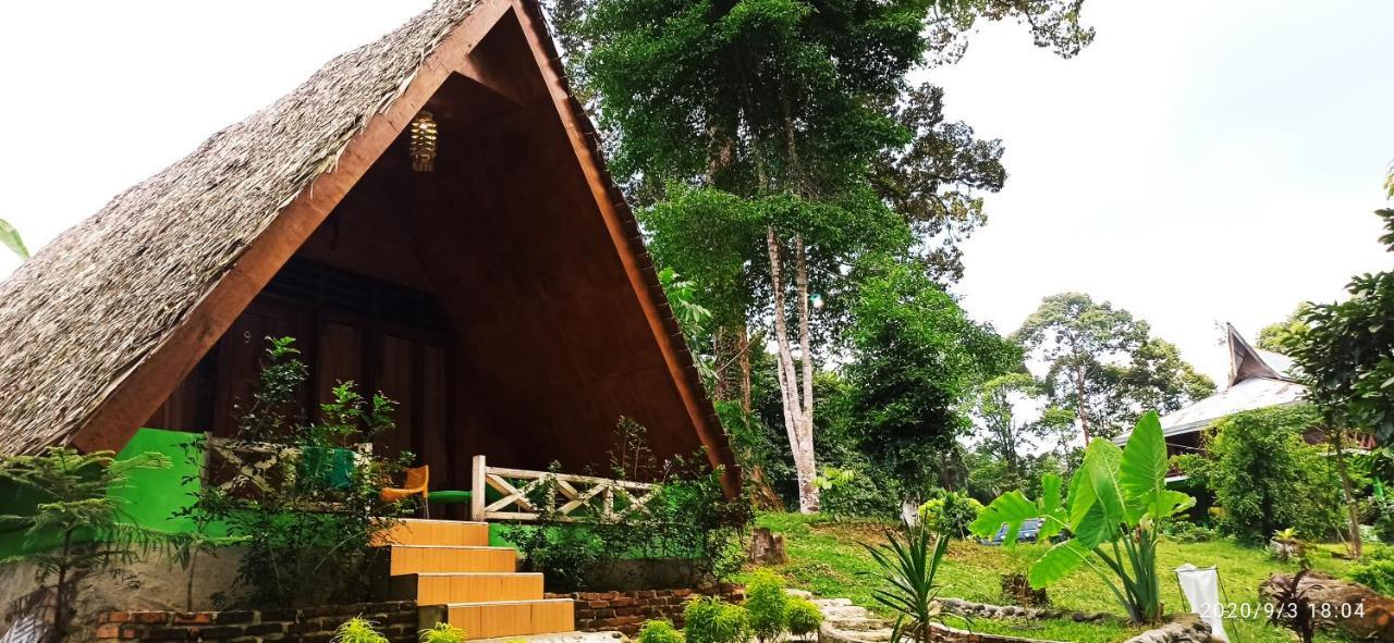 Green Forest Tangkahan Exterior foto