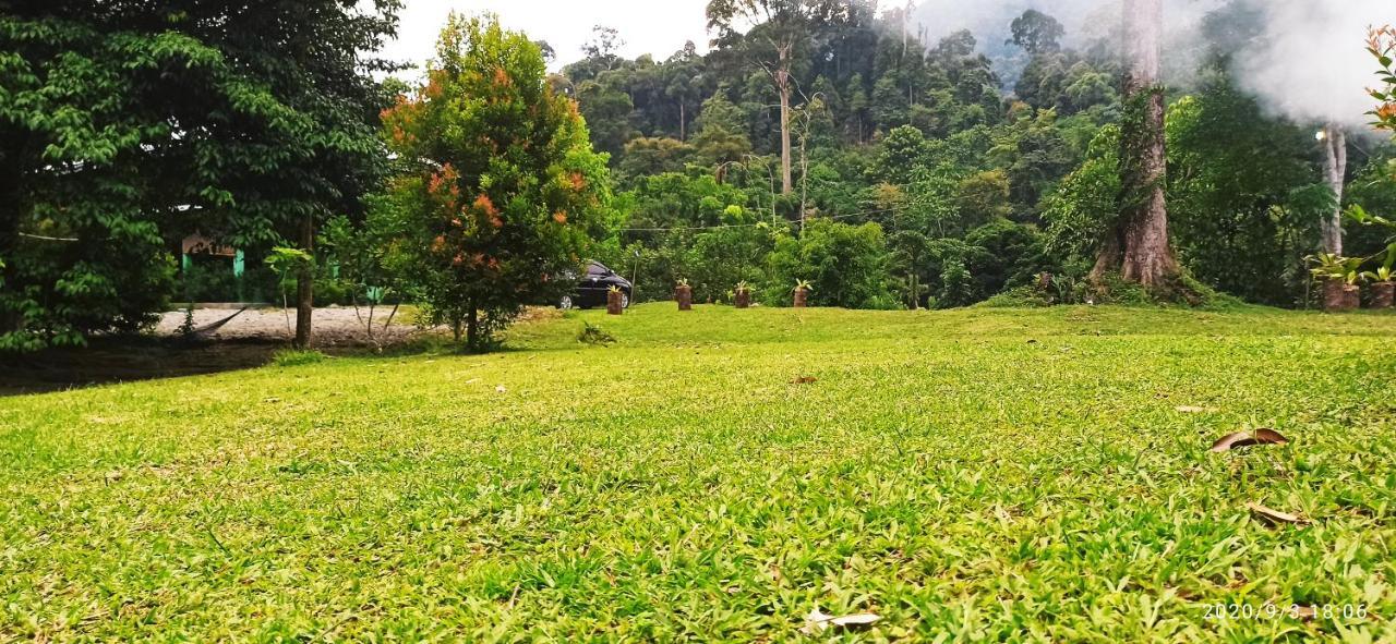 Green Forest Tangkahan Exterior foto