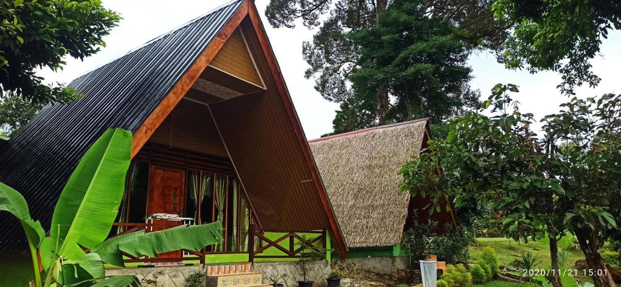 Green Forest Tangkahan Exterior foto