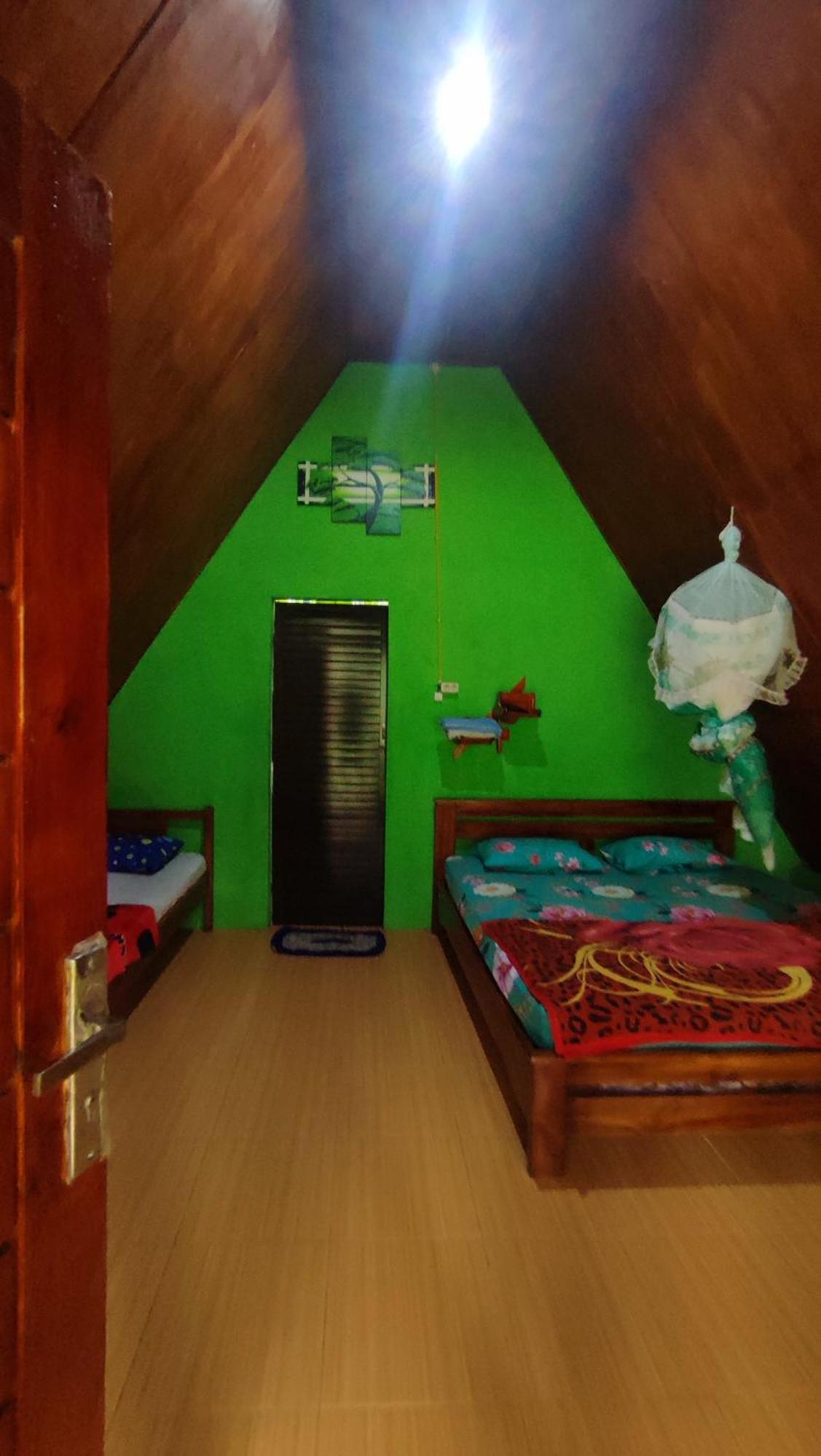 Green Forest Tangkahan Cameră foto