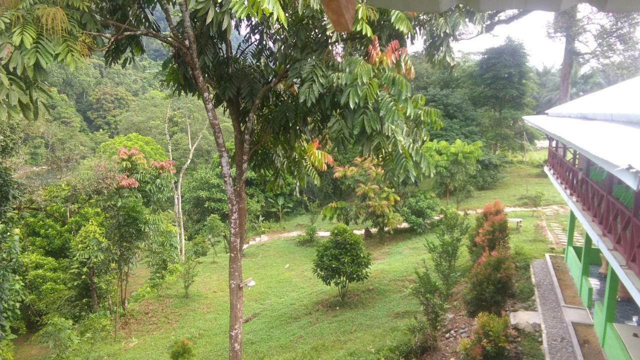 Green Forest Tangkahan Exterior foto