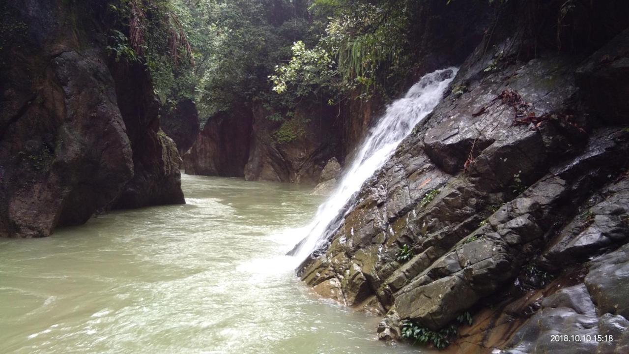 Green Forest Tangkahan Exterior foto